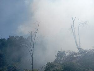 En lo corrido del año se han presentado en Antioquia 439 incendios de cobertura vegetal