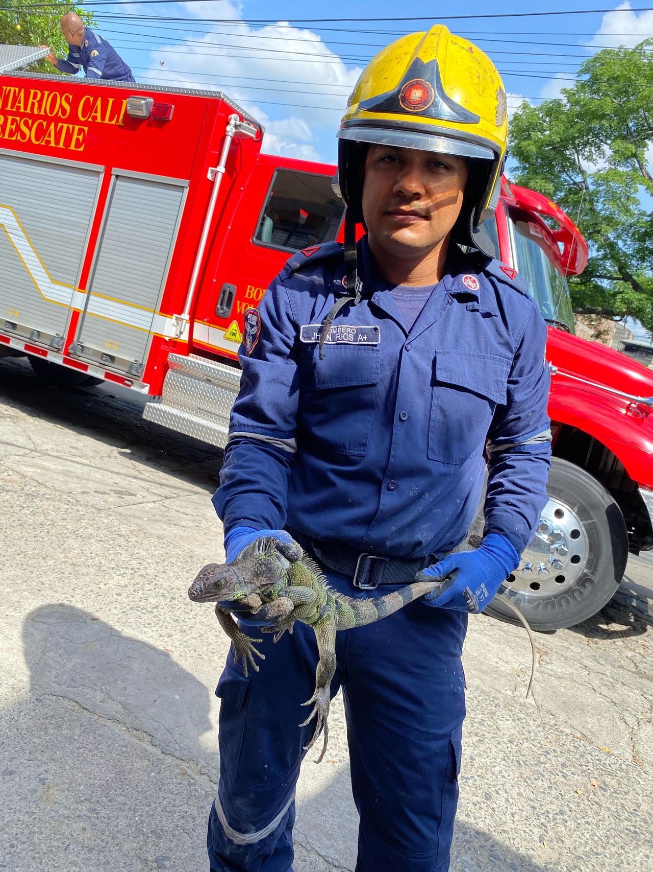 Unidades bomberiles atendieron el rescate animal en Santa Mónica Popular