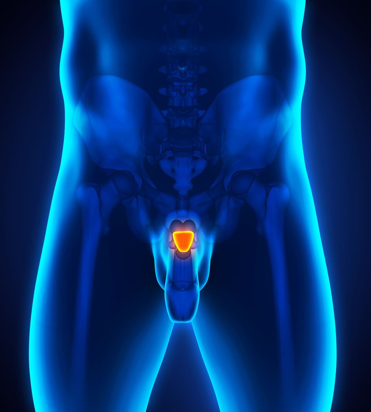 El cáncer de próstata es uno de los que más afecta a los hombres.