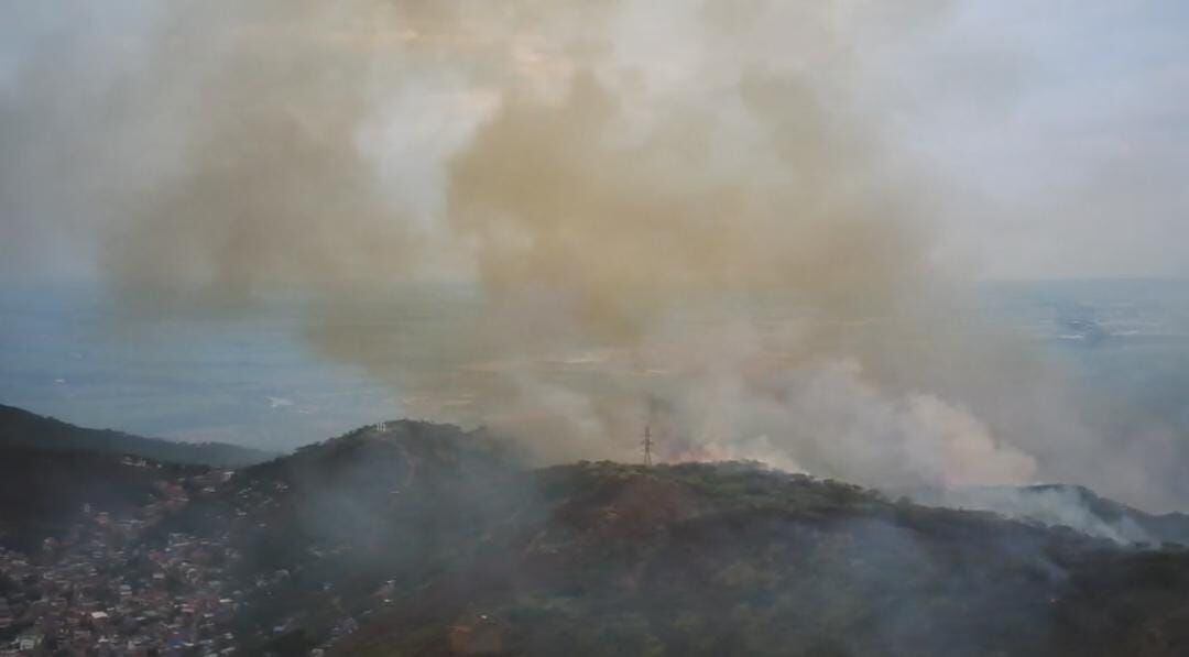 La fauna y la flora son las más azotadas por estas conflagraciones. En los últimos 30 días, Yumbo ha registrado 30 incendios forestales.