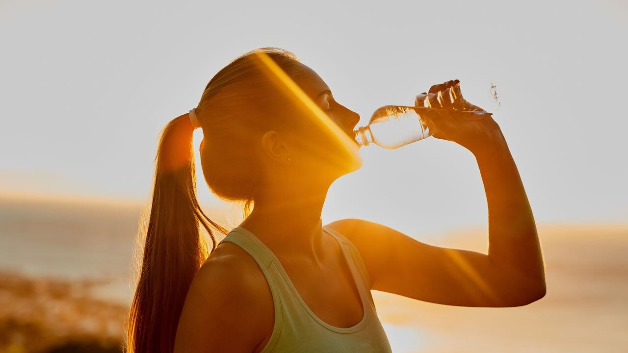 La mayoría de las personas sanas pueden mantenerse hidratadas bebiendo agua, sin embargo, en el embarazo y lactancia se puede requerir más hidratación.