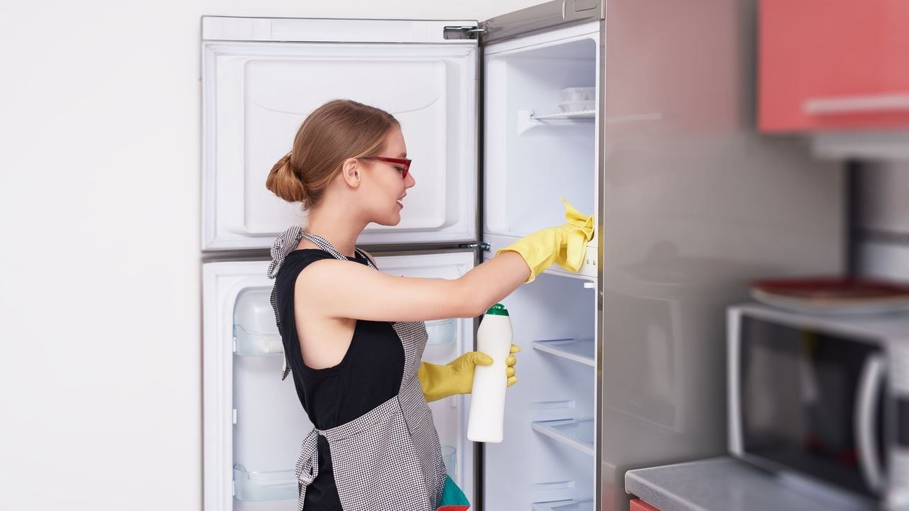 Como Arreglar Una Fuga de Agua En El Dispensador DE Refrigerador