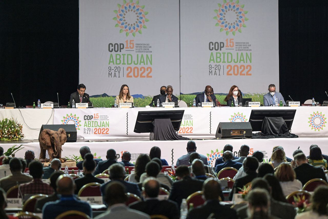 Durante la COP15, DE 2022, se acordó proteger los suelos y los océanos.