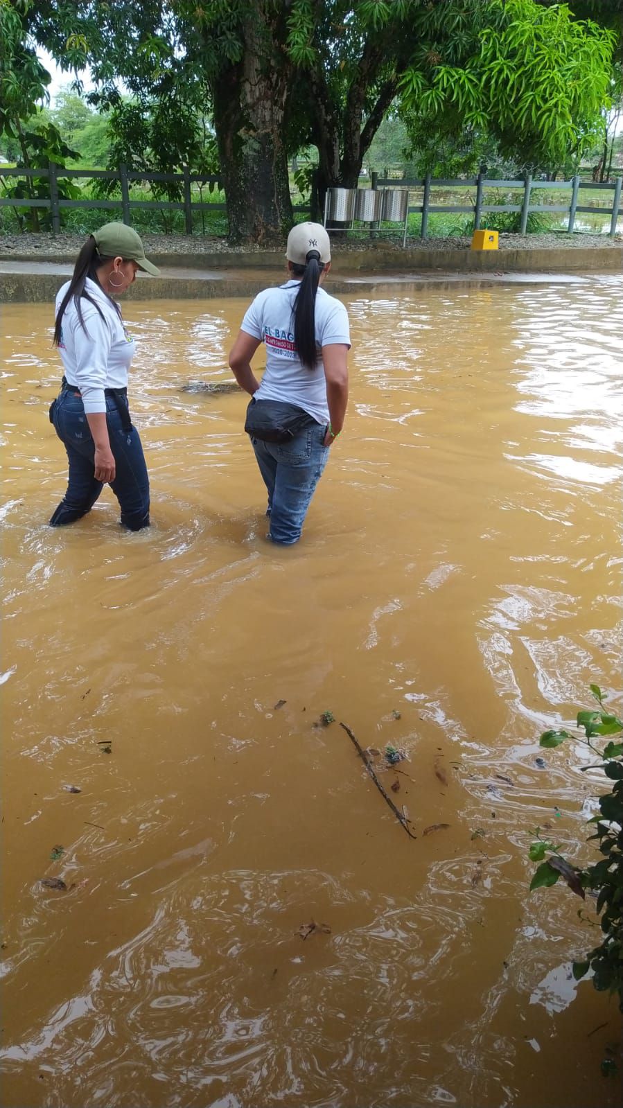 Más de 900 personas damnificadas en Antioquia por fuertes lluvias