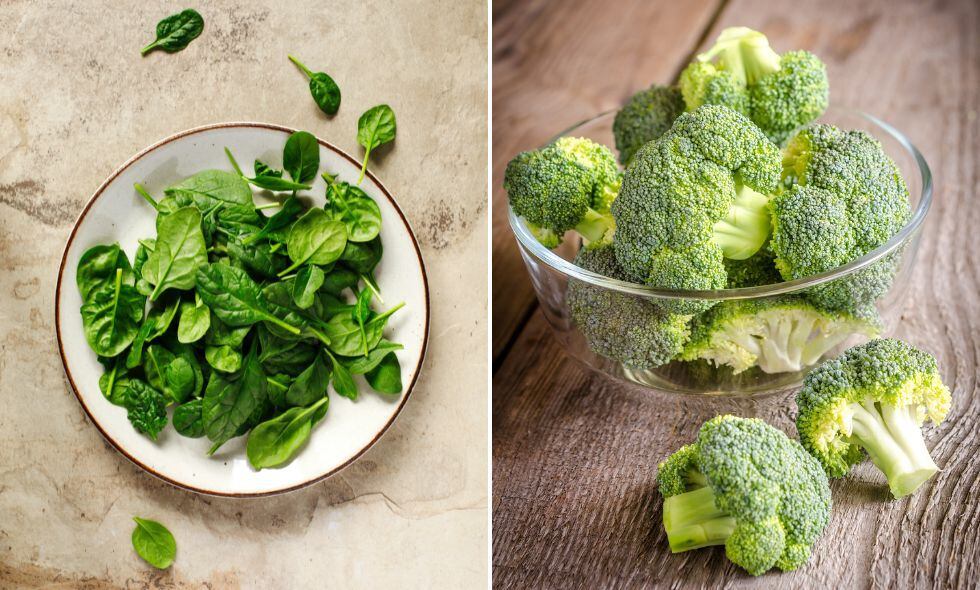 Incluir estas verduras en la alimentación regularmente puede ser una estrategia efectiva para prevenir la osteoporosis y mantener los huesos fuertes y saludables.