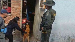 Este perro de raza criolla fue hallado en estado de desnutrición y rescatado por las autoridades protectoras de animales. Foto: Grupo de Protección Animal