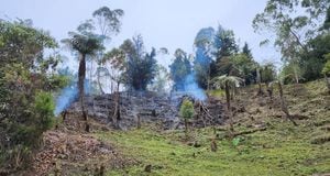 En Manizales se presentaron tres incendios de cobertura vegetal