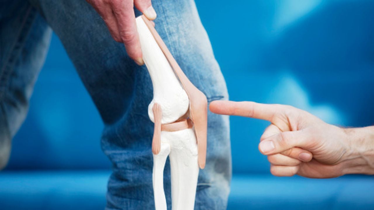 Los cartílagos de la rodillas son tejidos firmes y flexibles que protegen los extremos de los huesos en las diferentes articulaciones.