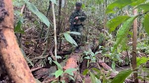 El Ejército continúa la búsqueda de los cuatro niños desaparecidos en un accidente aéreo sobre la selva del Caquetá el primero de mayo.