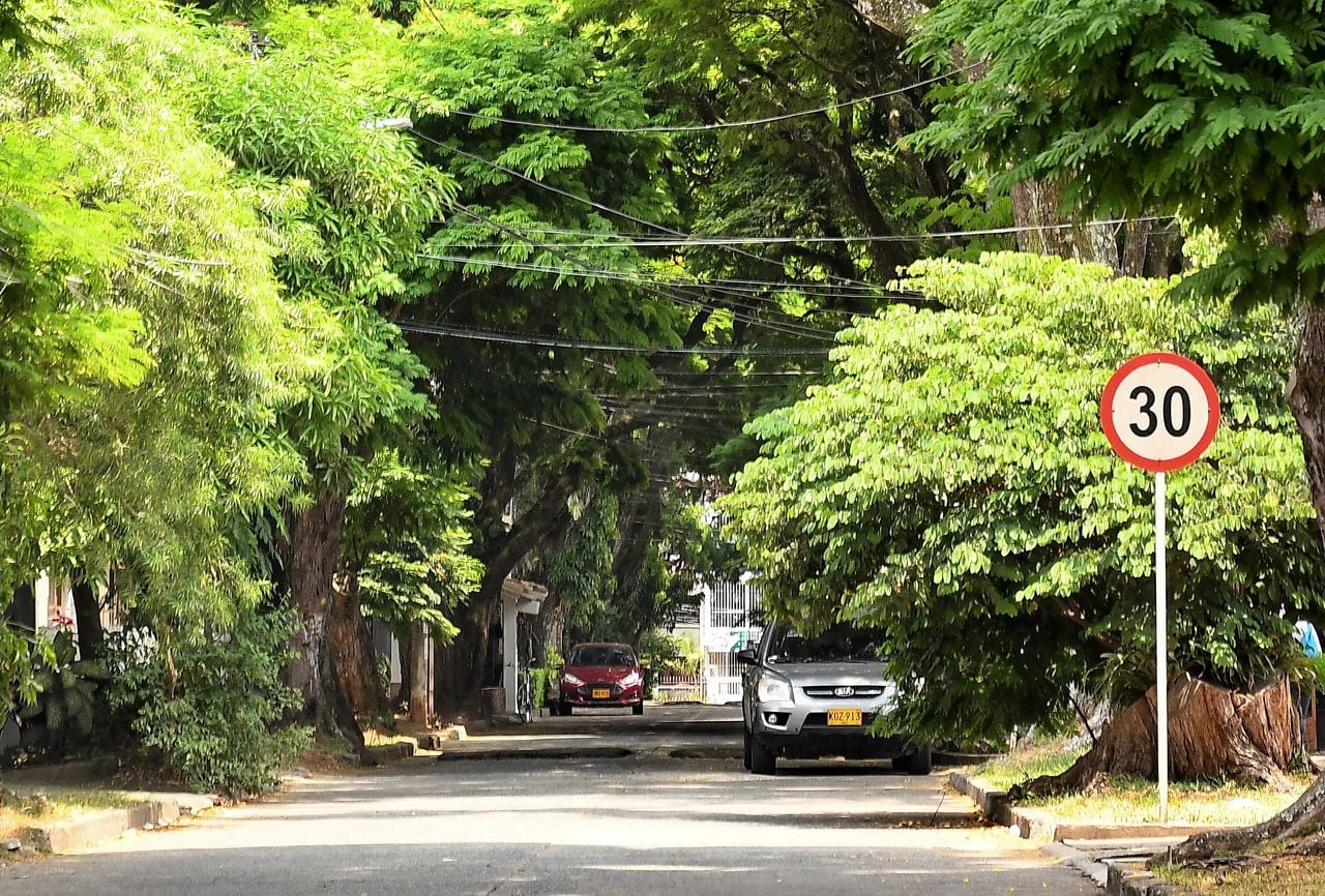Cali tiene déficit de zonas verdes y árboles por cada habitante, lo que ha hecho que las islas de calor se intensifiquen en algunas zonas de la ciudad.Fotos Wirman Rios / El Pais.