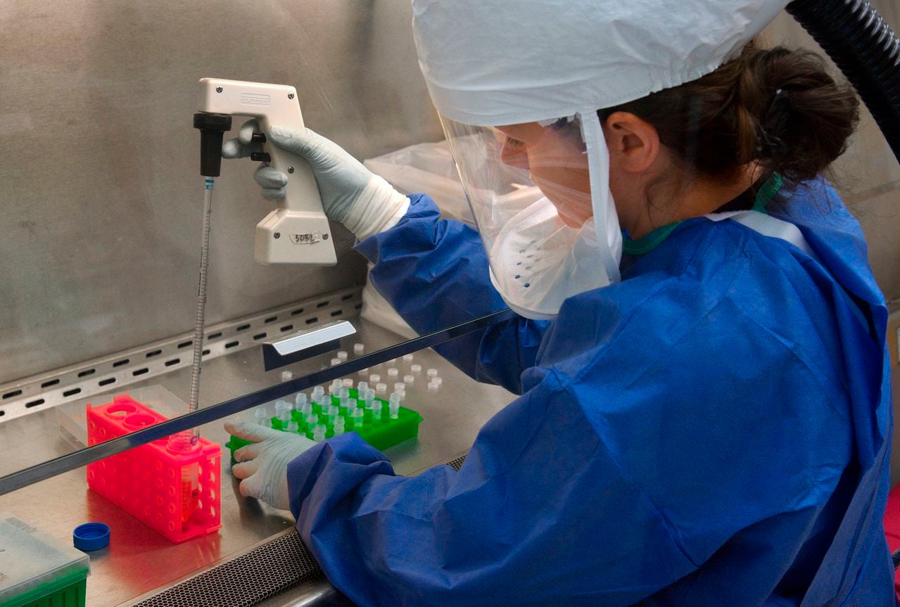 El virus fue detectado por las autoridades sanitarias en Países Bajos