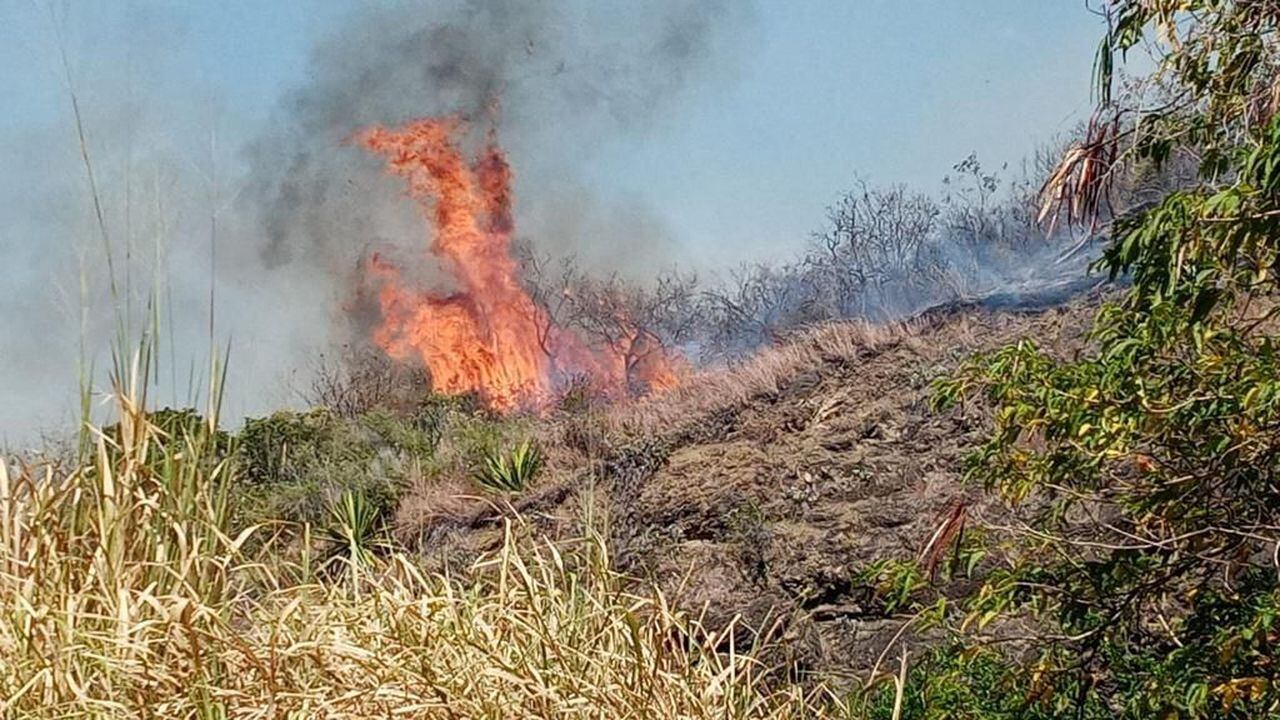No se reportan afectaciones a viviendas, pero varias especies de animales y plantas fueron consumidas por el fuego.