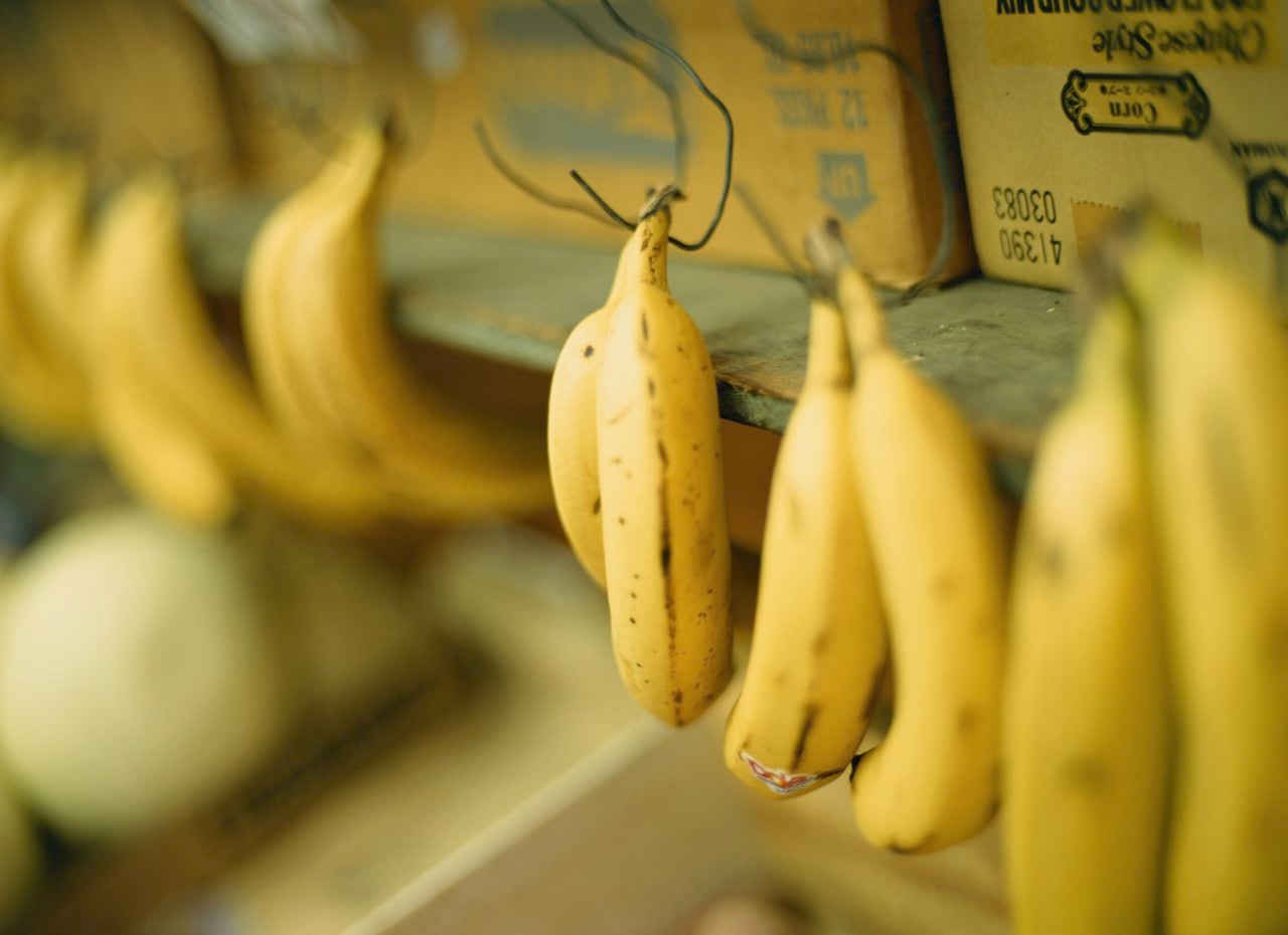 Banano, alimento muy consumido a nivel mundial.