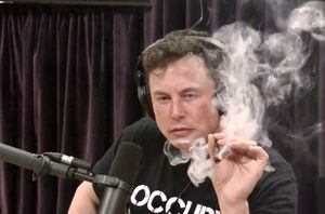 Elon Musk. Captura de pantalla del podcast Joe Rogan Experience
