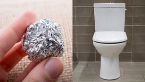 Conozca cómo pueden actuar las bolas de papel aluminio en la limpieza de su sanitario.