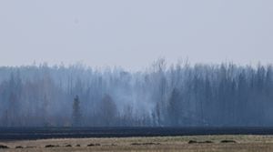 Los incendios en el oeste de Canadá tienen en alerta al país. Foto: Walter Tychnowicz / AFP.