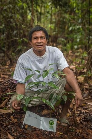El proyecto es crear un bosque, para salvar a la Amazonía.