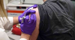 Muchos científicos alrededor del mundo trabajan para hallar una posible vacuna para la covid-19, que ha matado a más de 380.000 personas e infectado a cerca de 6,5 millones.