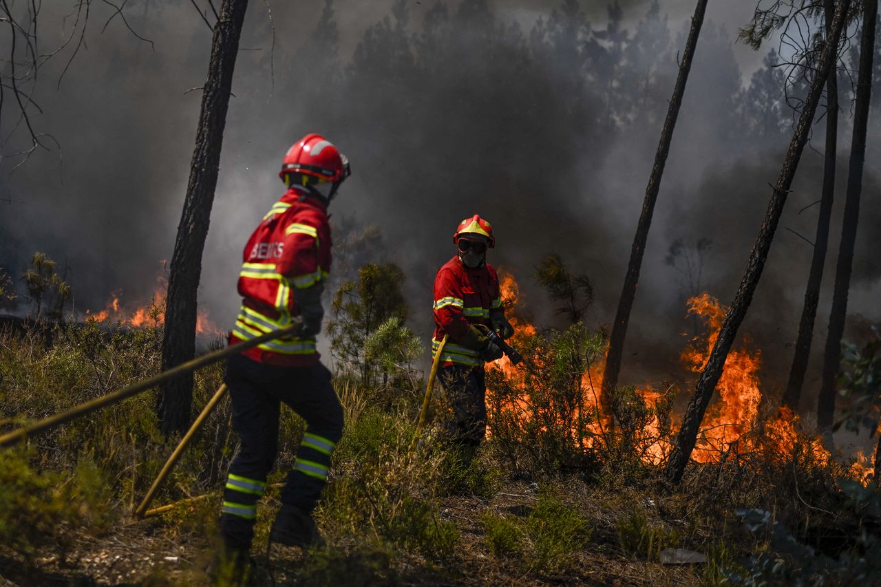 Más de 1000 bomberos lucharon hoy contra un incendio forestal en el centro de Portugal cuando las autoridades advirtieron que miles de hectáreas estaban en riesgo en medio de las altas temperaturas en todo el país.