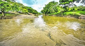 El Canal Interceptor Sur representa la primera carga de contaminación relevante que llega al río Cauca. Allí los niveles de oxígeno disuelto en agua, que llegan en 6 miligramos por litro, empiezan a descender.