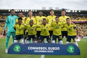 La Selección Colombia Sub-20 clasificó al Mundial en el Suramericano realizado en Cali y Bogotá.