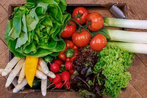 Incluir verduras es esencial para mantener un peso saludbale.  Photo: Daniel Karmann/dpa (Photo by Daniel Karmann/picture alliance via Getty Images)