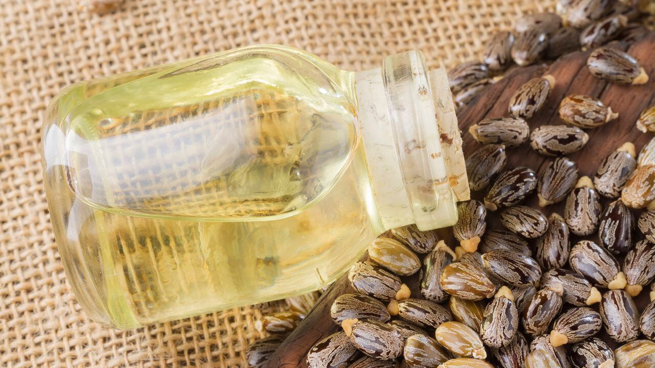 El aceite de ricino se ha utilizado durante siglos en el cuidado de la piel, gracias a sus propiedades hidratantes y cicatrizantes.