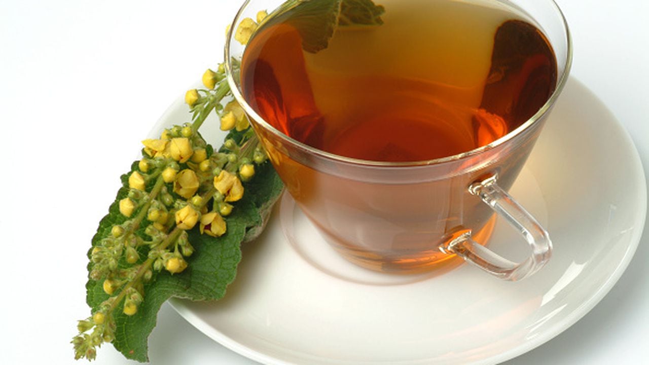 Medicinal tea made of great mullein, Verbascum densiflora, nigrum, thapsus, Verbasco falso barbasso. (Photo by: Bildagentur-online/Universal Images Group via Getty Images)