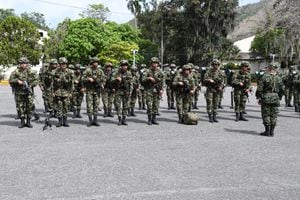 Llegarán más de 160 soldados al Valle con entrenamiento especial.