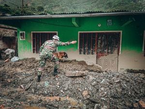 Fuerzas militares apoyan labores de mitigación tras la emergencia causada por avalancha.
