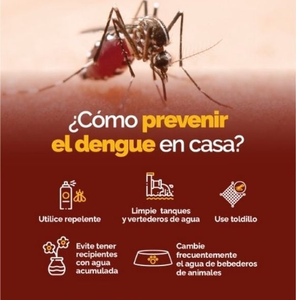 Recomendaciones para prevenir la reproducción del mosquito trasmisor del dengue.