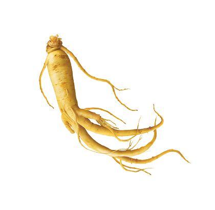 Ginseng, illustration, Chinese Herbal Medicine, roots, on White Background