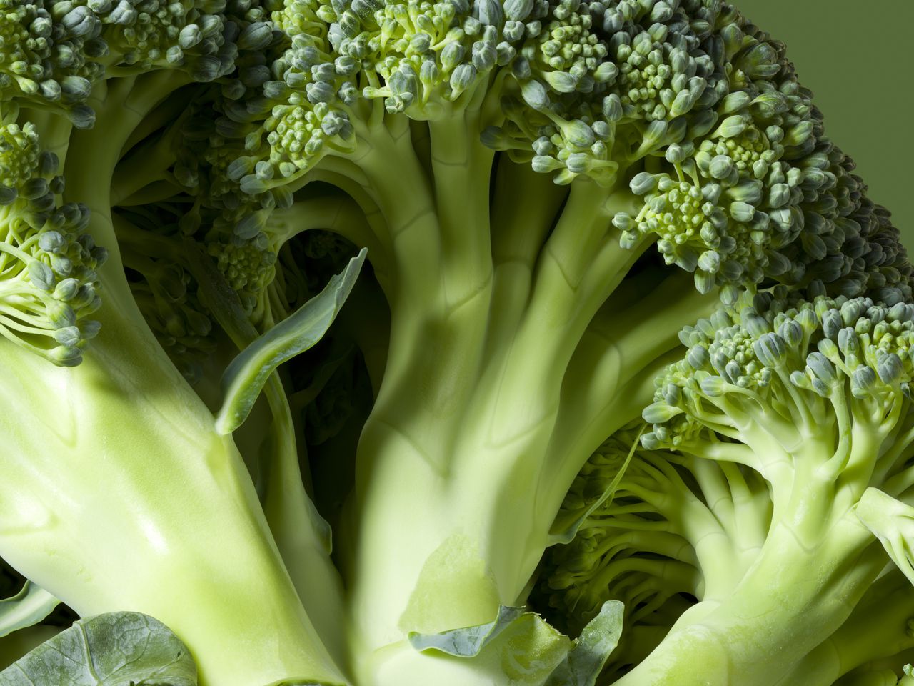 Conozca los beneficios del brócoli en el organismo