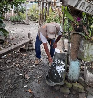 La Unidad Ejecutora de Saneamiento del Valle del Cauca, UESVALLE, refuerza las acciones frente a la propagación del zancudo transmisor del dengue en el Valle del Cauca.