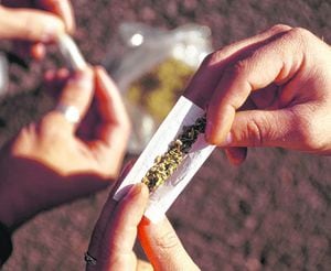 La ley establece la dosis mínima la cantidad de marihuana que no exceda de veinte gramos; la de marihuana hachís que no exceda de cinco gramos; de cocaína o cualquier sustancia a base de cocaína que no exceda de un gramo, y de metacualona que no exceda de dos gramos.