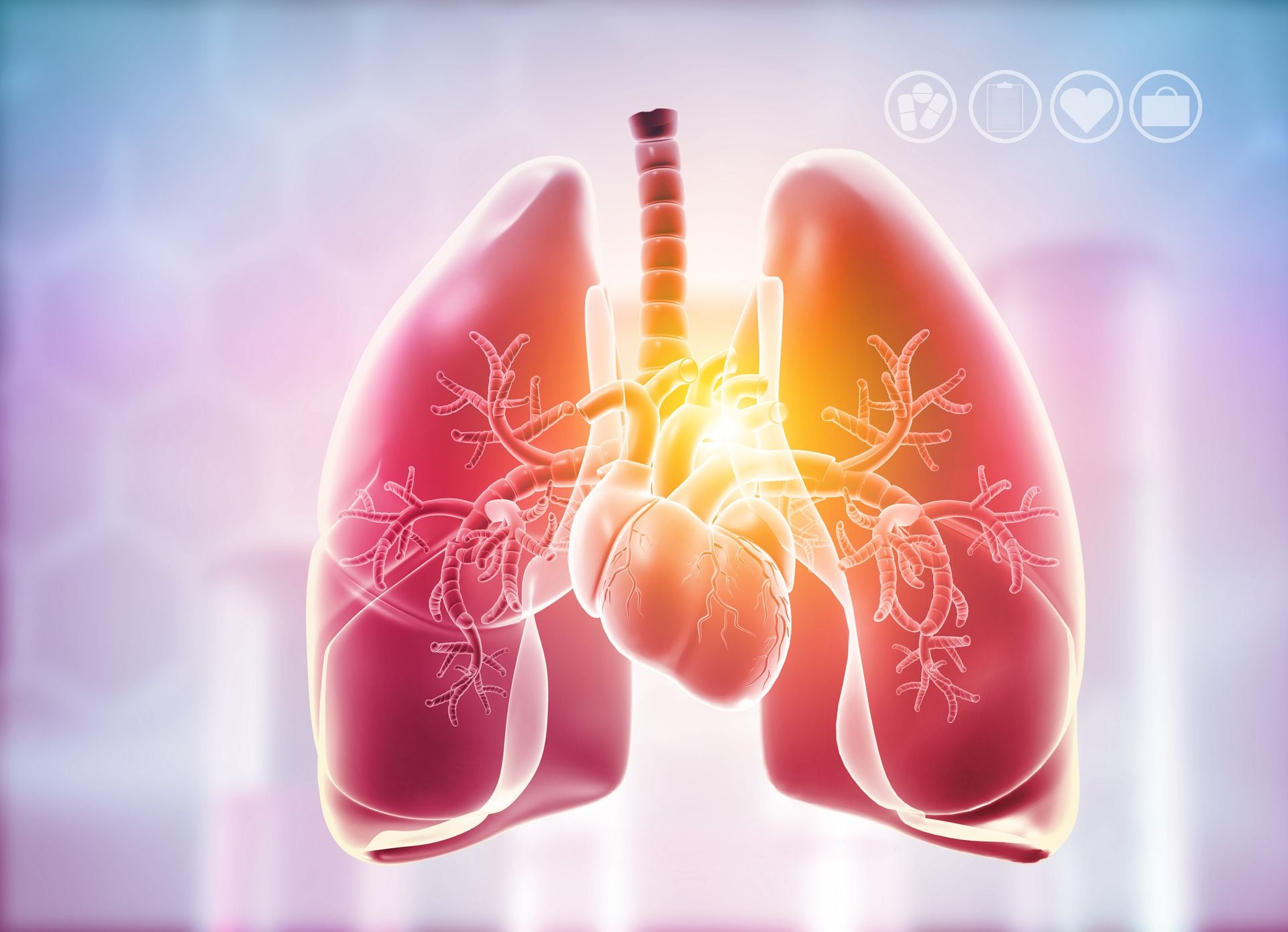 Cómo eliminar las flemas de los pulmones naturalmente