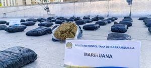 Incautación de marihuana en Barranquilla