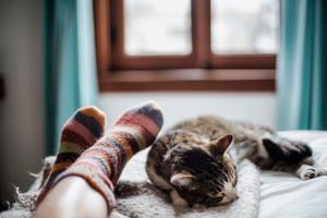 Descifrando el enigma Felino: Los motivos detrás de la preferencia de los gatos por dormir en los pies de las personas