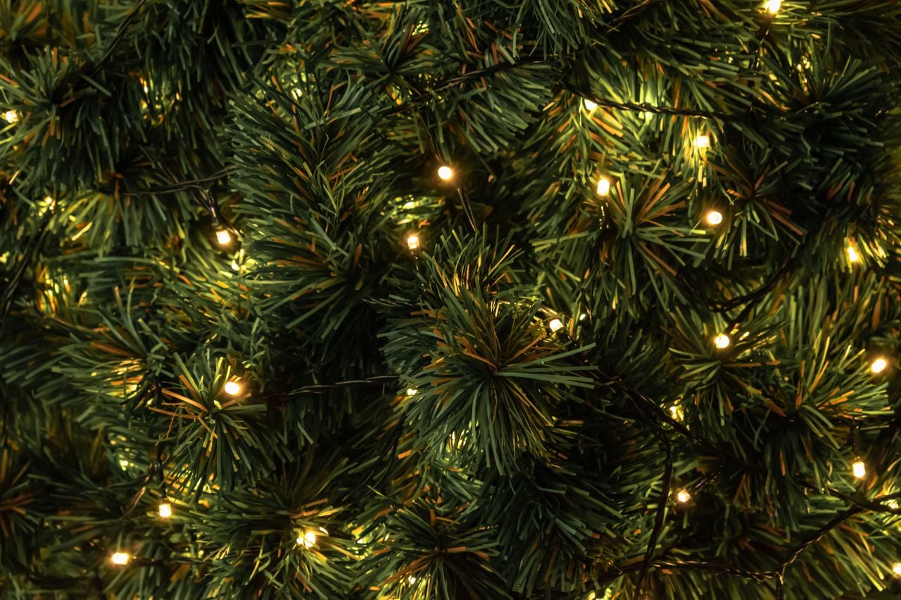 Navidad, luces del árbol de Navidad, árbol de Navidad, luces de Navidad