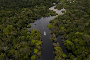 (FILES) Aerial view showing a boat speeding on the Jurura river in the municipality of Carauari, in the heart of the Brazilian Amazon Forest, on March 15, 2020. What's the longest river in the world, the Nile or the Amazon? The question has fueled a heated debate for years. Now, an expedition into the South American jungle aims to settle it for good. Using boats powered by solar energy and pedal power, an international team of explorers plans to set off in April 2024 to definitively establish the source of the Amazon in the Peruvian Andes, then travel nearly 7,000 kilometers (4,350 miles) across Colombia and Brazil, to the massive river's mouth on the Atlantic. (Photo by Florence GOISNARD / AFP)