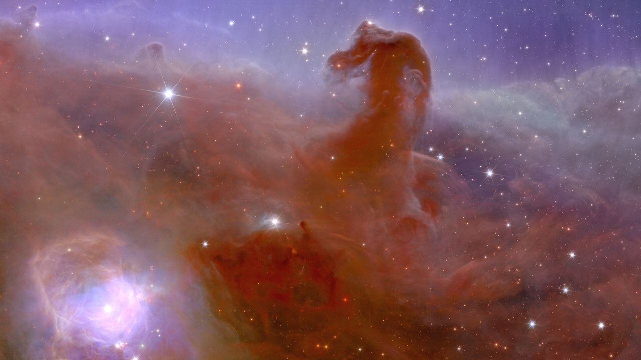 En la imagen se muestra una cosecha alternativa de imagen astronómica de una Nebulosa Cabeza de Caballo tomada durante la misión espacial Euclid de la ESA, construida y operada por la Agencia Espacial Europea ESA y con contribuciones de la NASA.