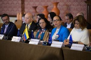 Los miembros del Consejo de Seguridad de la ONU vienen a hacer un seguimiento a los acuerdos de paz que suscribió el Estado colombiano con la entonces guerrilla de la Farc.