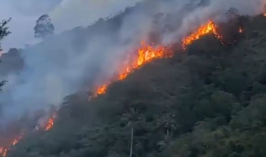 Incendios forestales en los municipios de Hato y Gámbita, Santander.
