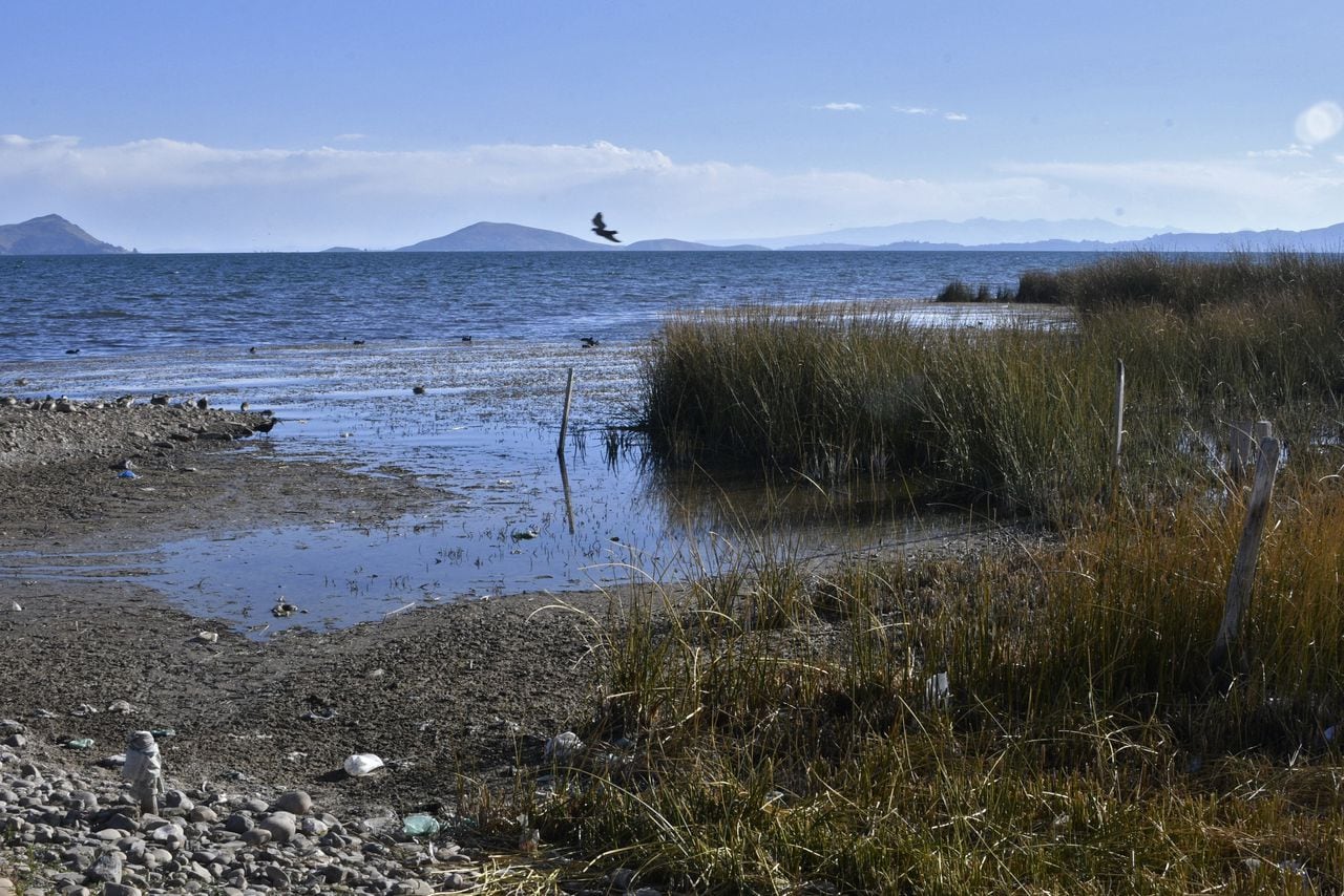 El nivel del agua del lago Titicaca, a 3.807 metros sobre el nivel del mar, hoy se ubica 25 centímetros por encima del mínimo histórico registrado en 1996, dijo a la AFP Lucia Walper, jefa de la Unidad de Pronósticos del Servicio Nacional de Hidrología y Meteorología (Senhami) de Bolivia, el 10 de agosto de 2023. (Foto de Aizar RALDES / AFP)