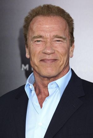 Arnold Schwarzenegger en el 2017.