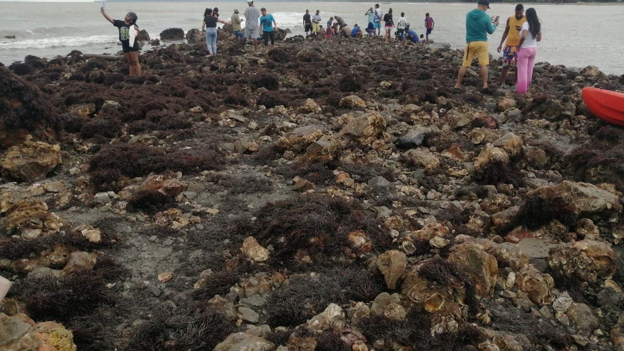 Los turistas que llegan a la playa del corregimiento de Damaquiel, en San Juan de Urabá, aprovechan para visitar la isla y tomarse fotos en el icónico lugar.