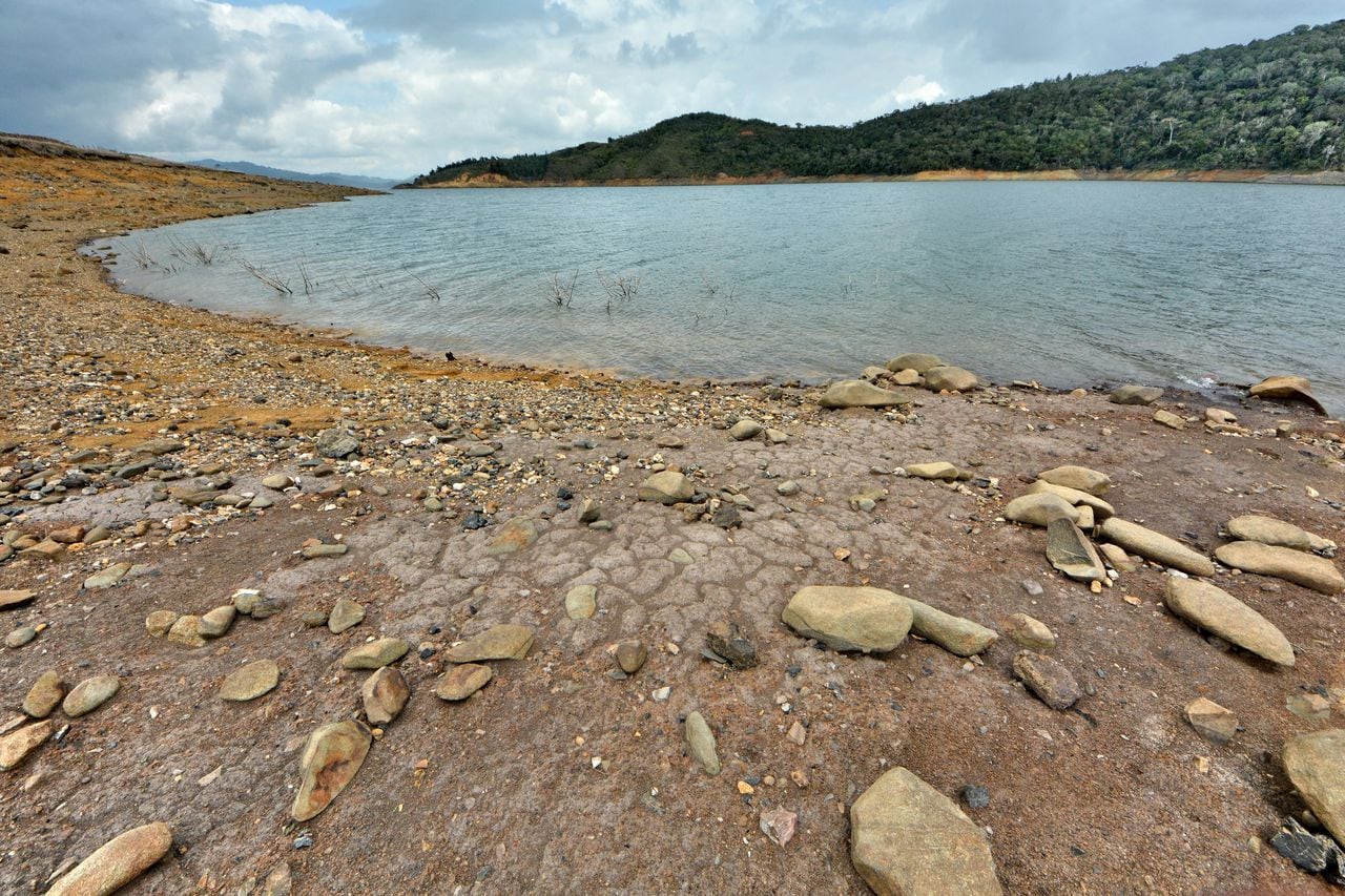 El fenómeno del Niño no solo ha cambiado la intensidad de los fenómenos meteorológicos, sino que también ha cambiado los paisajes naturales, como pasa con el Lago Calima en el Valle del Cauca. En las orillas de este gran lago artificial, se nota la disminución en el nivel de sus aguas