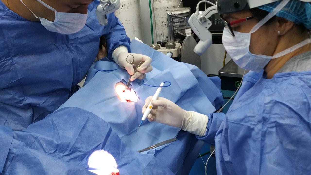 El Implante Flexible de Regeneración Tisular es un biodispositivo creado con el fin de regenerar tejidos del corazón en animales y seres humanos.