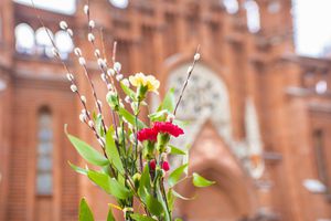 Desde tiempos antiguos, el clavel ha sido más que una flor decorativa, llevando consigo una profunda carga simbólica que resuena con los principios centrales de la fe cristiana.