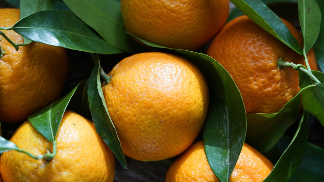 La mandarina trae enormes beneficios para la salud
